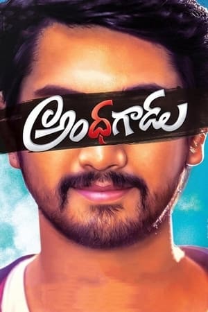Andhhagadu 2017 Dual Audio | Dubbed Hindi Movie Uncut HDRip [1.4GB]