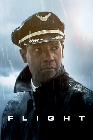 Flight (2012) Dual Audio | Dubbed Hindi Movie BluRay 400MB