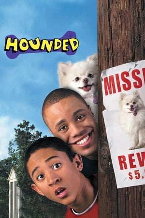 Hounded 2001 Dual Audio | Dubbed Hindi Movie BluRay [1.1GB]