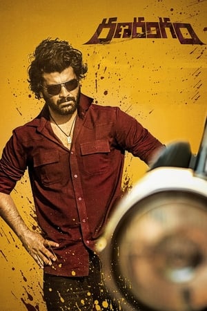 Ranarangam 2019 ( – Telugu) Dual Audio | Dubbed Hindi Movie UnCut HDRip [1.3GB]