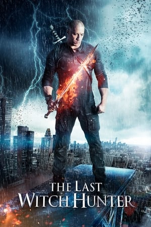 The Last Witch Hunter (2015) Dual Audio | Dubbed Hindi Movie BluRay [940MB]