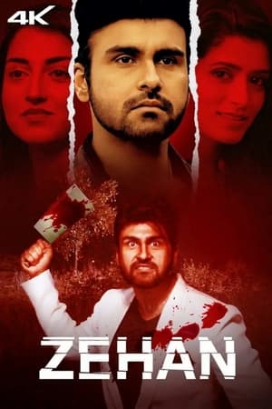 Zehan 2024 HDRip | Dubbed Hindi Movie – 480p